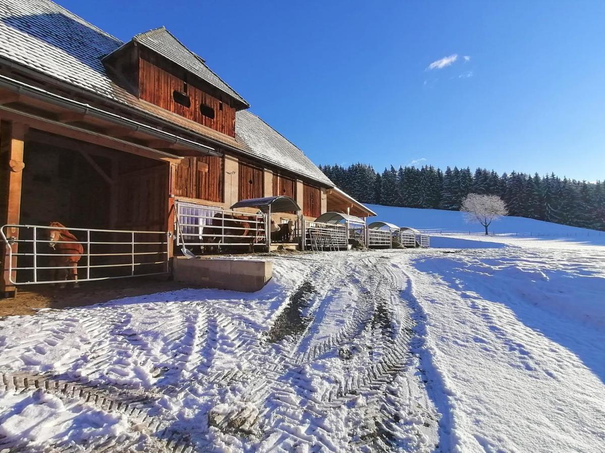 Staudachhof Apartment Althofen  Luaran gambar
