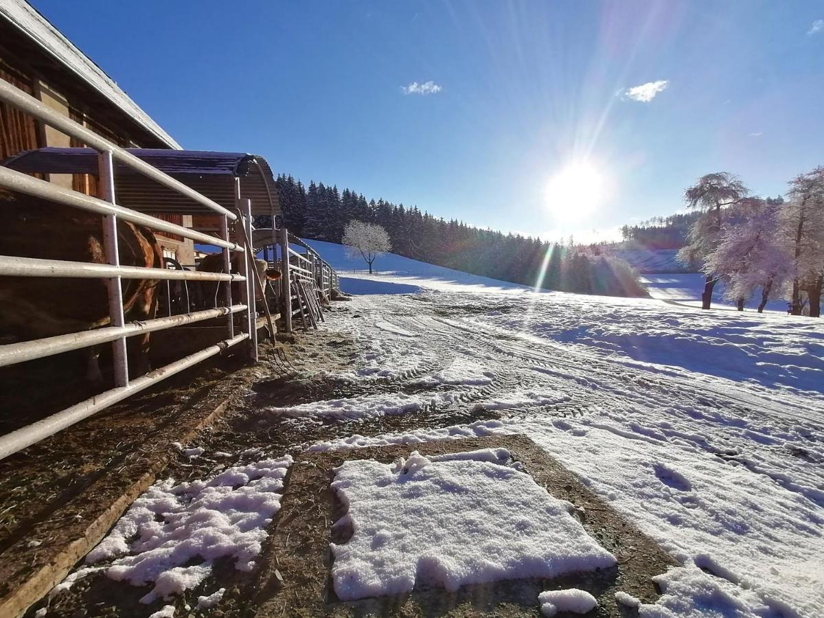 Staudachhof Apartment Althofen  Luaran gambar
